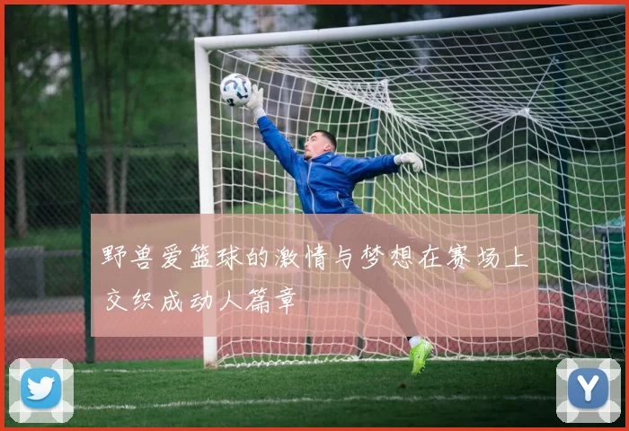 野兽爱篮球的激情与梦想在赛场上交织成动人篇章