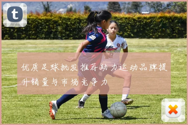 优质足球批发推荐助力运动品牌提升销量与市场竞争力