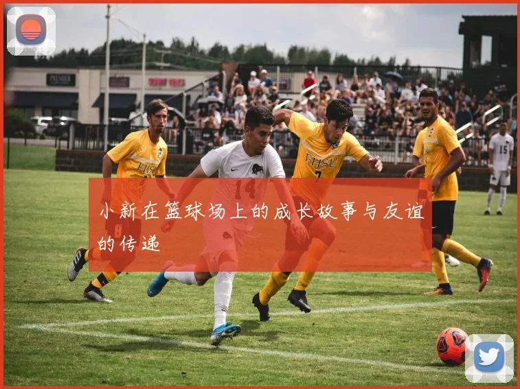 小新在篮球场上的成长故事与友谊的传递