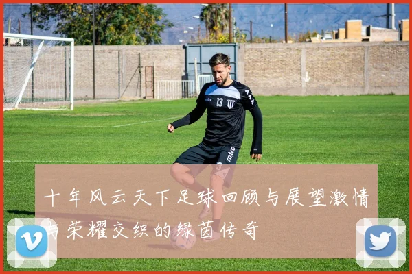 十年风云天下足球回顾与展望激情与荣耀交织的绿茵传奇