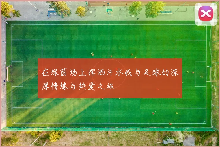 在绿茵场上挥洒汗水我与足球的深厚情缘与热爱之旅