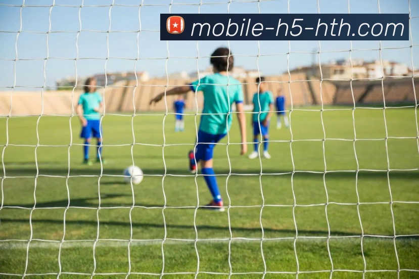 App Interface Preview