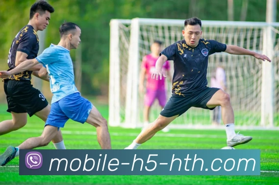 华体会APP 封面图